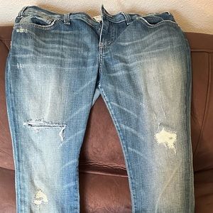 Bird by Juicy Couture